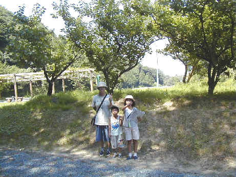 FruitsPark