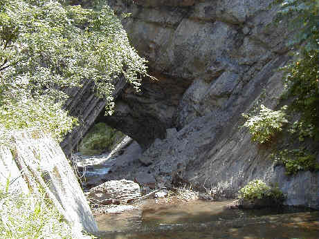 KawashimoTN