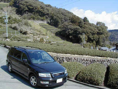 Chabatake