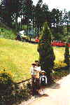 Steam Train