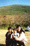 Cherry-Garden