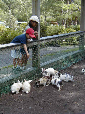 TutujiFarm