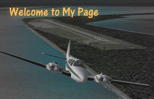 Welcome$B%$%i%9%H(B