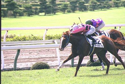 �S�[�����O