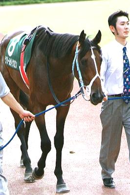 97�N �V���R�΂r�p�h�b�N �������N���[���T�C�N���� 