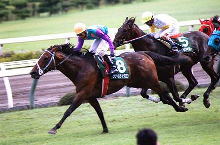 97�N �V���R�΂r �S�[���V�[��(������Ǝ΂߁j