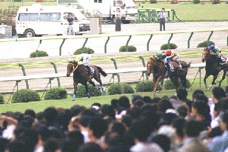 �o�[�f���o�[�f���J�b�v �����̍U�h(1)