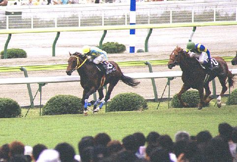 �E�ъ��V���h�E�N���[�N