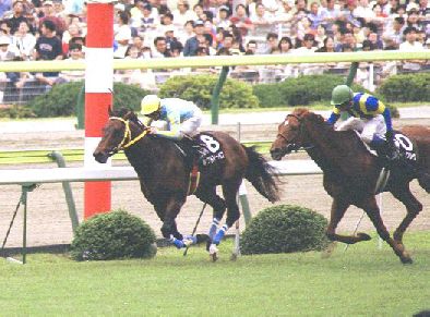 �o�[�f���o�[�f���J�b�v �����̍U�h(�Q)