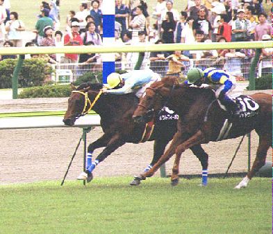 �S�[���O�A�Q�������ԁi�z�N�g�t�B�[�o�X�A�V���h�E�N���[�N)