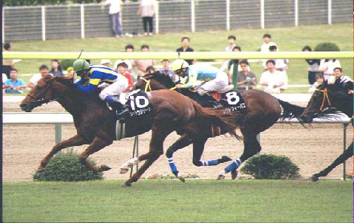 �S�[�����O