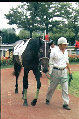 �z�N�g�r�G�C�f�r���[��