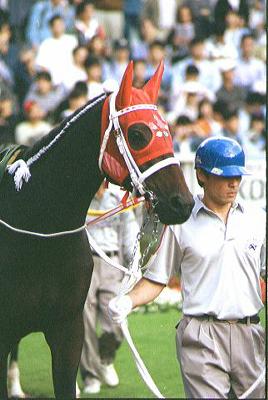 �p�h�b�N�@�O�����[�V�����}��