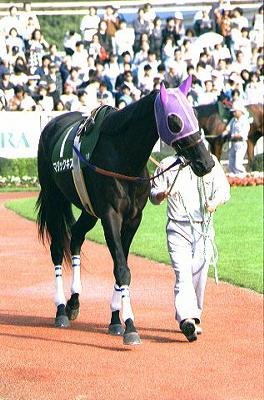 �p�h�b�N �}�W�b�N�L�X