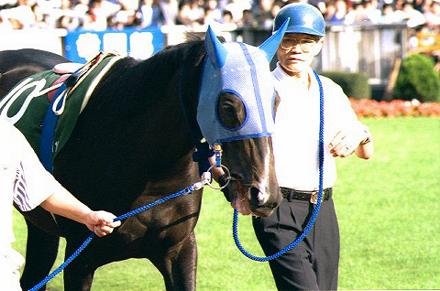 �p�h�b�N �G�����V�b�N