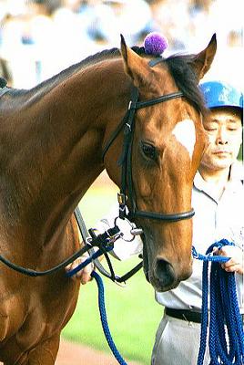 �p�h�b�N �V���O���C�N�g�[�N