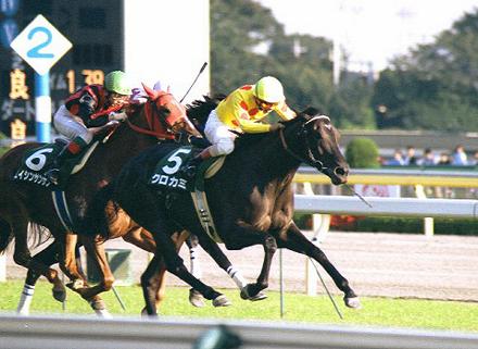 ���� �c��P�n����