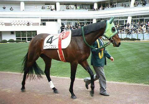 �z�N�g�t�E�W��