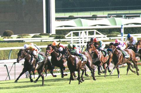 �S�[���O�A���������N���J�~