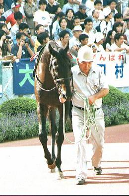 �p�h�b�N�@�N���E���V�`�[