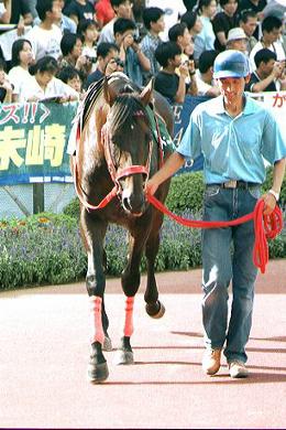 �p�h�b�N�@�h�[�W�}���e�L