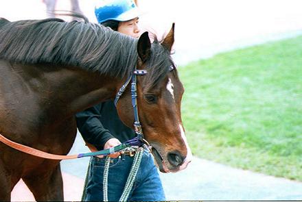 �p�h�b�N �A���^�}�����_�[