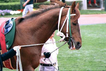 �p�h�b�N �A���n�h���[��