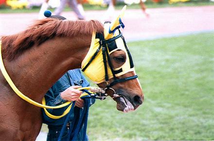 �p�h�b�N ���C�v���V���b�v