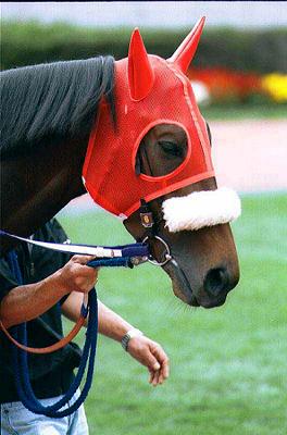 �p�h�b�N �c���}���K�C�Z��