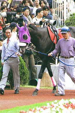 �p�h�b�N �W�F�j���C��