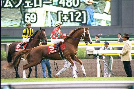 �{�n�����@�V���J�C�E��