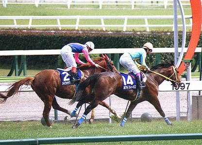 97�N �����{�t �S�n����