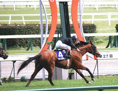 97�N �����{�t�S�[���V�[��(�����n�V���R�E�L���O)