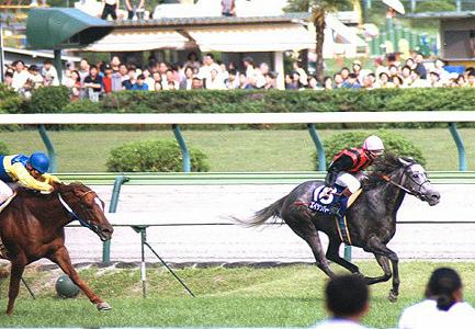 97�N �����{�t ���X�g�P�n����