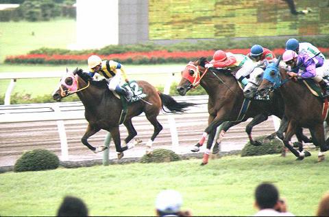 97�N �V���L�O �S�[���O�̍U�h