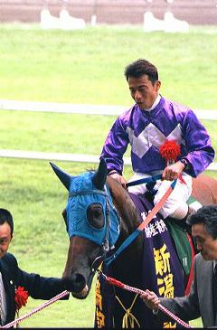 �d�܏������̖ؔ��R��ƃp���u���C�g