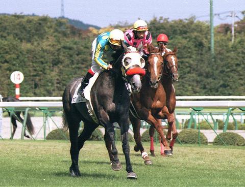 �z�N�g�p�s���X