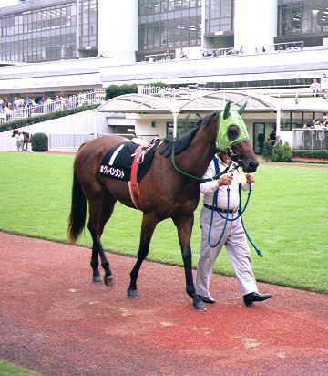 95�N �T�t������ �������n��