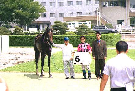 �^�[�t�t�@���g���������̌����