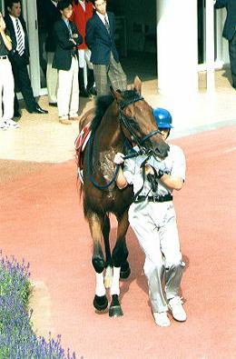 �p�h�b�N �_�C���I�[�V���E