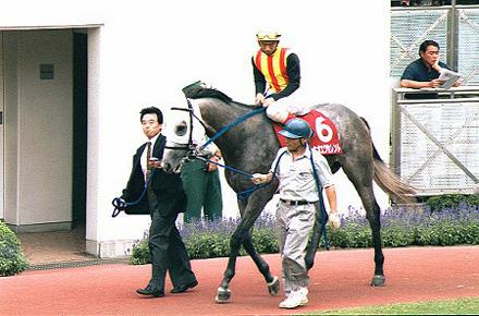 �p�h�b�N�@�g�L�I�G�N�Z�����g