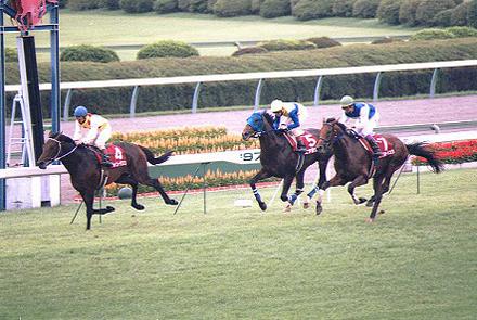 �Z���g���C�g�L�O �S�[���V�[��