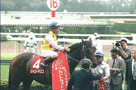 ����� �V���R�[�e�X�R