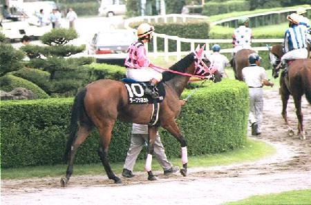 �{�n��֌������^�[�t�\�l�b�g