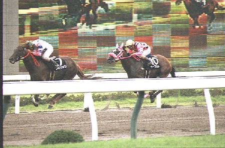 �����A�O��ǂ��^�[�t�\�l�b�g