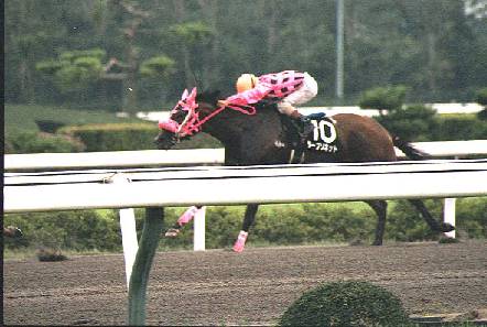 �S�[����ڎw���^�[�t�\�l�b�g