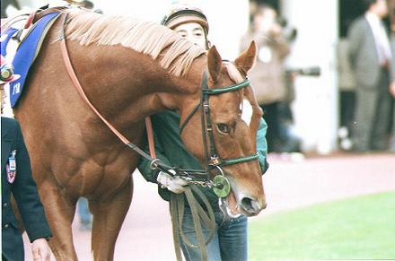 �p�h�b�N �^�C�L�V���g��