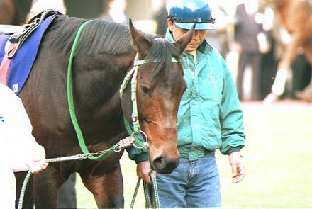 �p�h�b�N �z�N�g�t�B�[�o�X