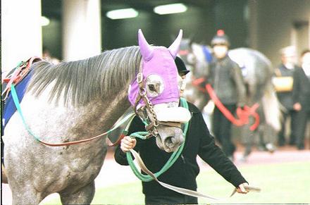 �p�h�b�N ���V���g���J���[