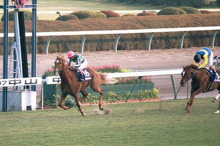 �S�[���V�[��